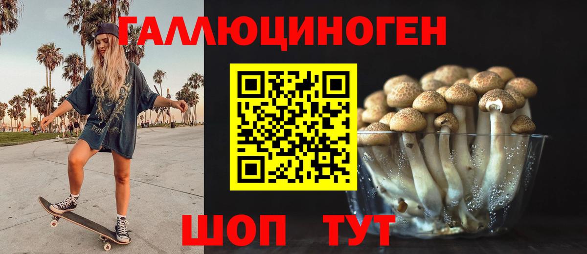 Псилоцибиновые грибы мицелий Карпинск